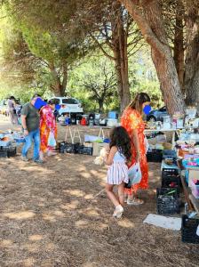 Vide grenier de la vallée rose - Fréjus