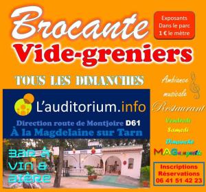 Brocante, Vide grenier - La Magdelaine-sur-Tarn