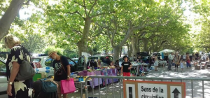 Brocante, Vide grenier - Lodève