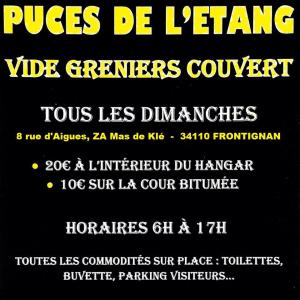 Vide-greniers puces de l'étang - Frontignan