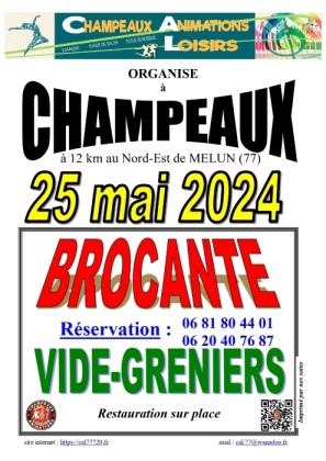 Brocante, Vide grenier - Champeaux