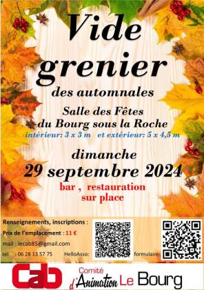 Vide-greniers des automnales - La Roche-sur-Yon