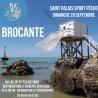 Brocante, Vide grenier - Saint-Palais-sur-Mer