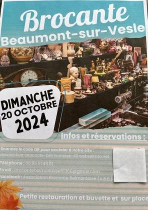 Brocante, Vide grenier - Beaumont-sur-Vesle