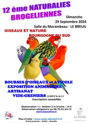 Vide grenier - Naturalies Brogéliennes - Le Breuil