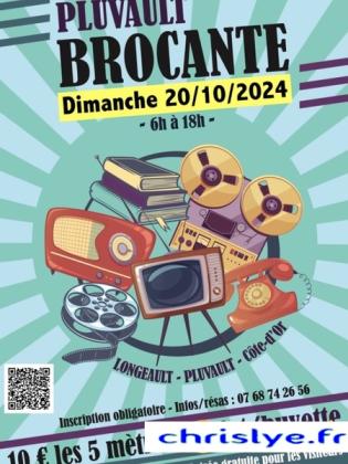 Brocante, Vide grenier - Longeault-Pluvault