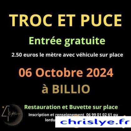 Troc et Puces - Billio