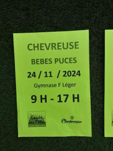 Bebe puces - Chevreuse