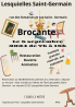 Brocante, Vide grenier - Lesquielles-Saint-Germain