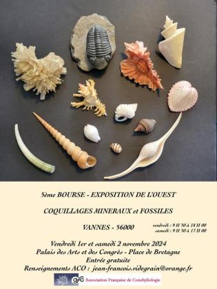 5ème bourse exposition de l'ouest : coquillages, minéraux et fossiles - Vannes