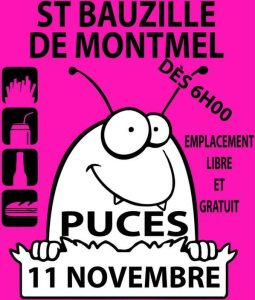 Puces - Saint-Bauzille-de-Montmel