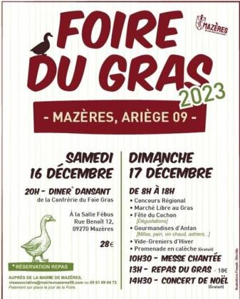 Vide greniers de la foire du gras - Mazères