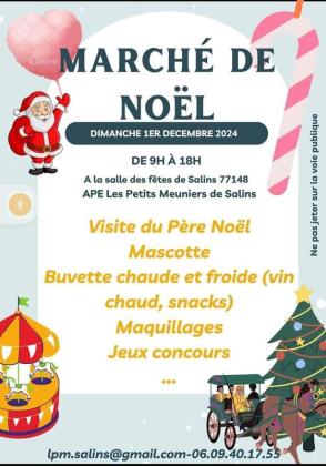 Marché de noël - Salins