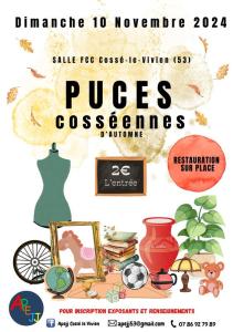 Puces cosséennes - Cossé-le-Vivien