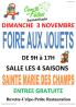 Foire aux jouets - Sainte-Marie-des-Champs