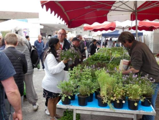 Vide-greniers, Marché aux Fleurs - Archettes