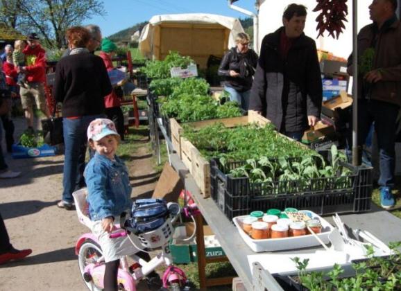 Vide grenier marché aux plants - Fays