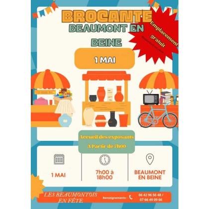 Brocante, Vide grenier - Beaumont-en-Beine