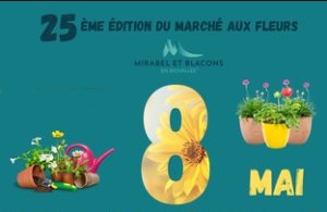 Marché aux fleurs - Mirabel-et-Blacons