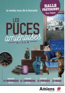 Les puces amiénoises - Amiens