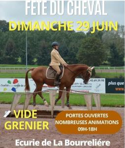 Fête du cheval - vide grenier - animations - Mareil-sur-Loir