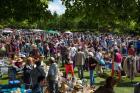 Brocante, Vide grenier - Le Chesnay-Rocquencourt