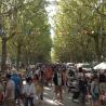 Brocante, Vide grenier - Sommières