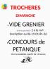 Vide grenier et concours de pétanque - Trochères