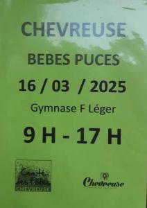 Bebe puces - Chevreuse