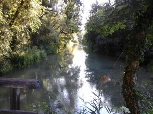 Brocante, Vide grenier - Noyen-sur-Seine