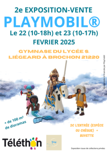 Bourse exposition - vente Playmobil - Brochon