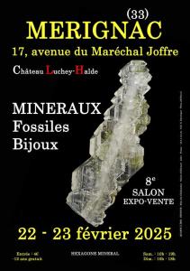 8e salon minéraux fossiles bijoux - Mérignac