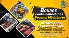 Bourse miniatures - toutes collections - Fécamp